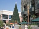 Festival City view